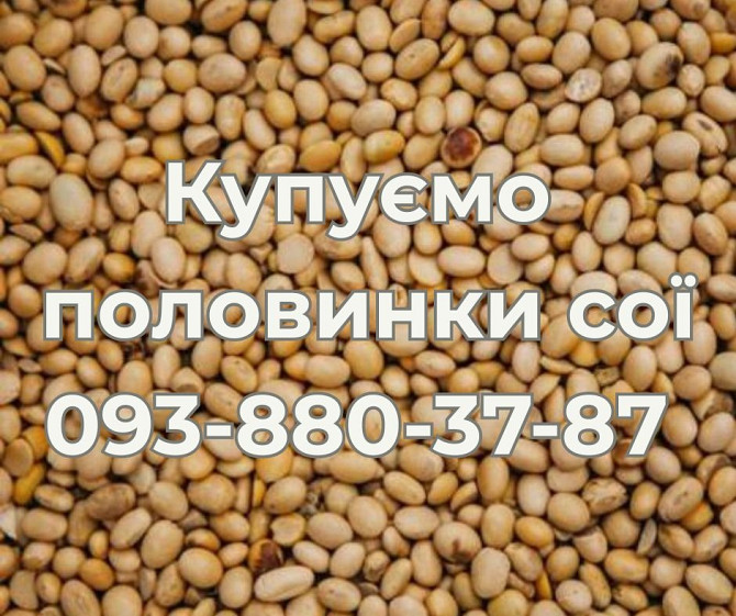 Закупівля половинки сої. Самовивіз Полтава - зображення 1