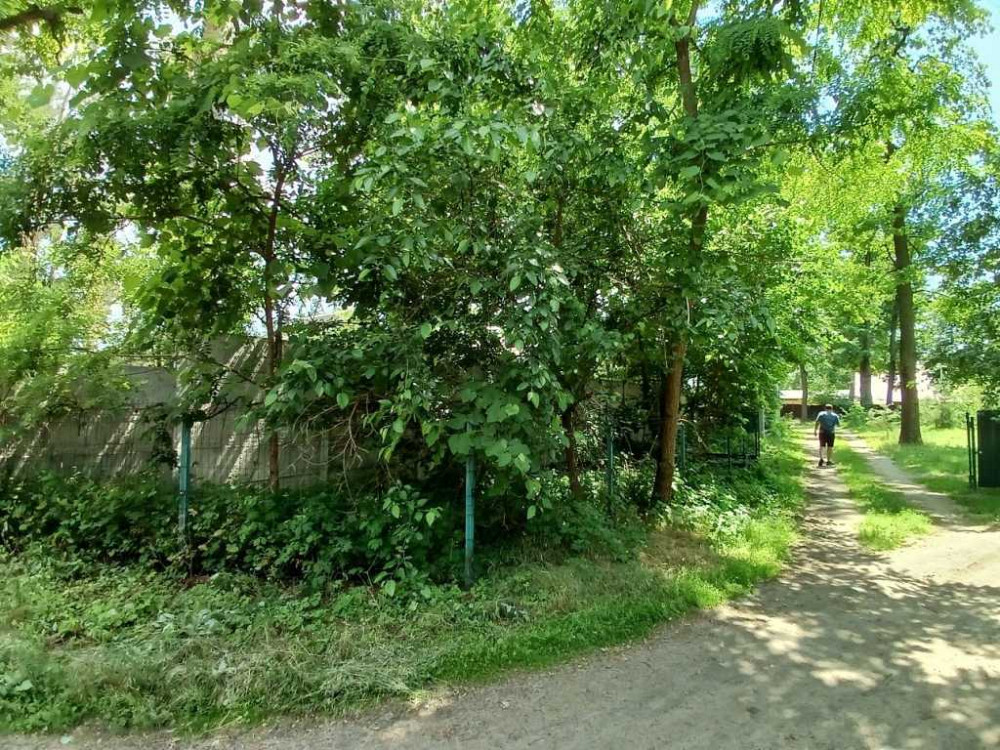 продажа участок под жилую застройку Киево-Святошинский, Ирпень, 94000 $ Ирпень - изображение 4