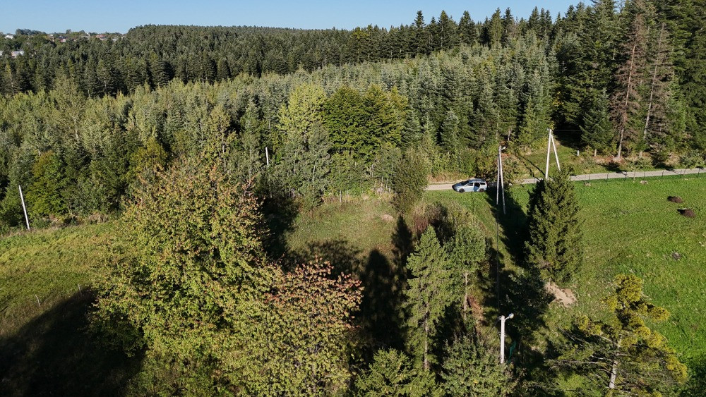 Земельна ділянка в Делятині 0.10 га Яремче - зображення 4