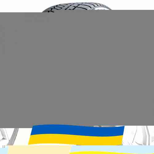 245/45 R19 Continental WinterContact TS 850P 102V Легкова шина Киев