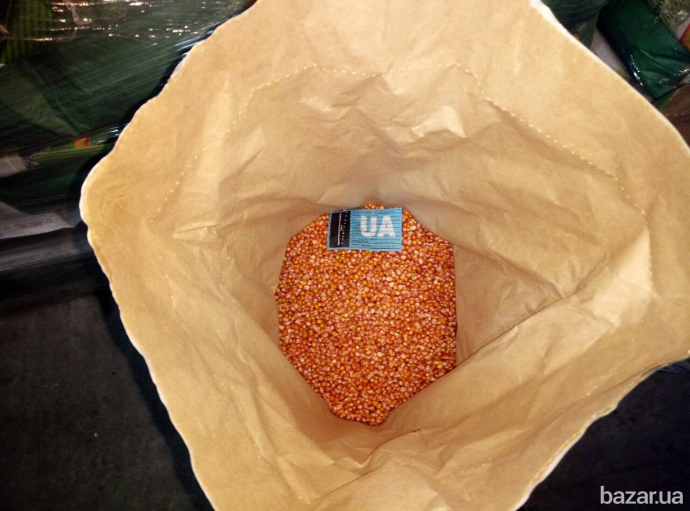 семена кукурузы от производителя Полтава - зображення 1