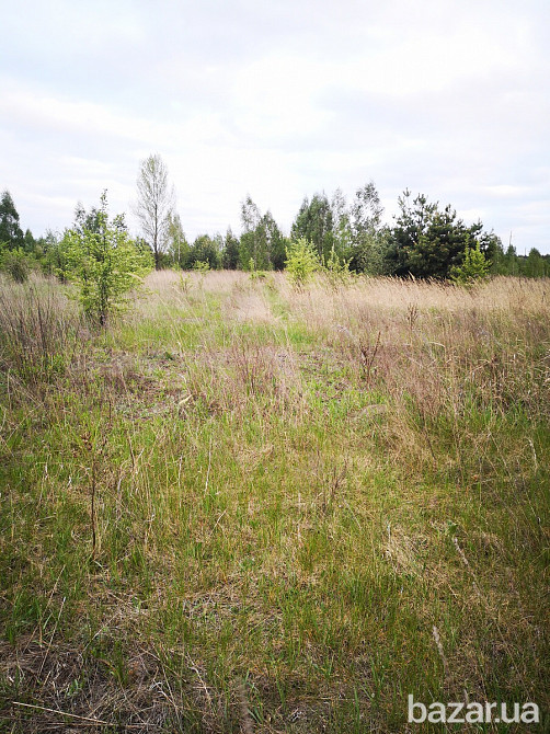 Продам 2 га ОСГ в смт.Макарів Макаров - изображение 9