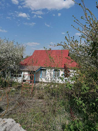 продажа 2-к дом Таращанский, Чернин, 9500 $  - зображення 6