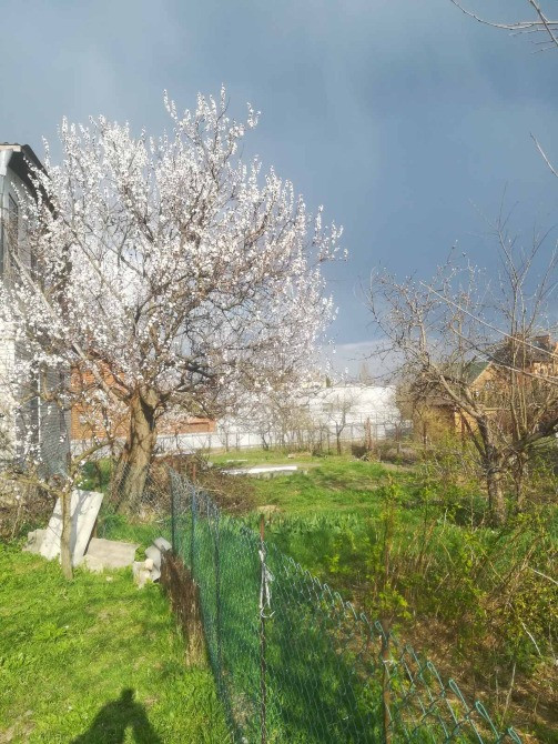 Продаётся будинок Київська обл. Обухівський район с. м. т. Козин (Конча Заспа) Киев - изображение 4