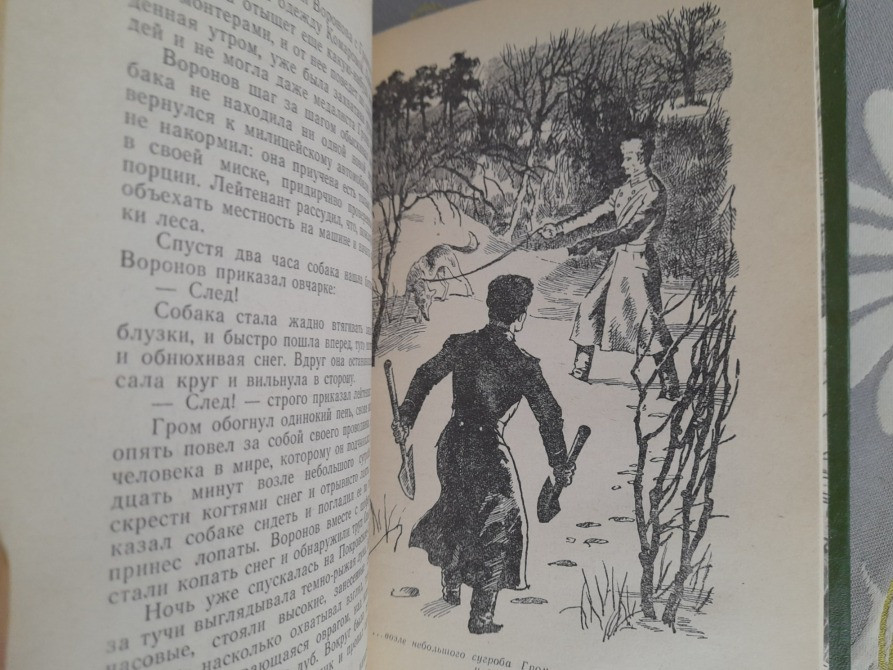 Матвей Ройзман Дело № 306 1968 БПНФ библиотека приключений фантастики Запоріжжя - зображення 4