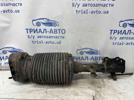 Амортизатор задний Lexus RX 350 2003-2009  (Арт. 79430) Киев