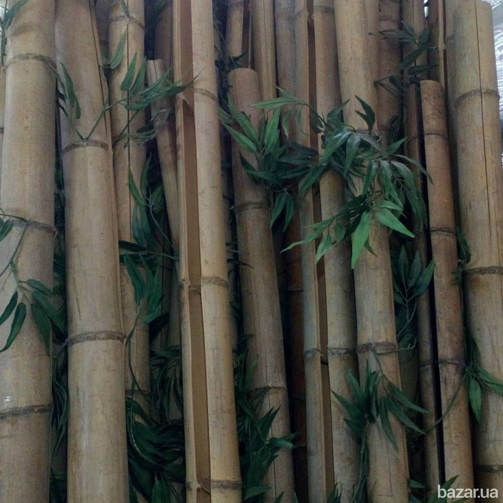 Декоративный бамбуковый ствол Київ - зображення 1