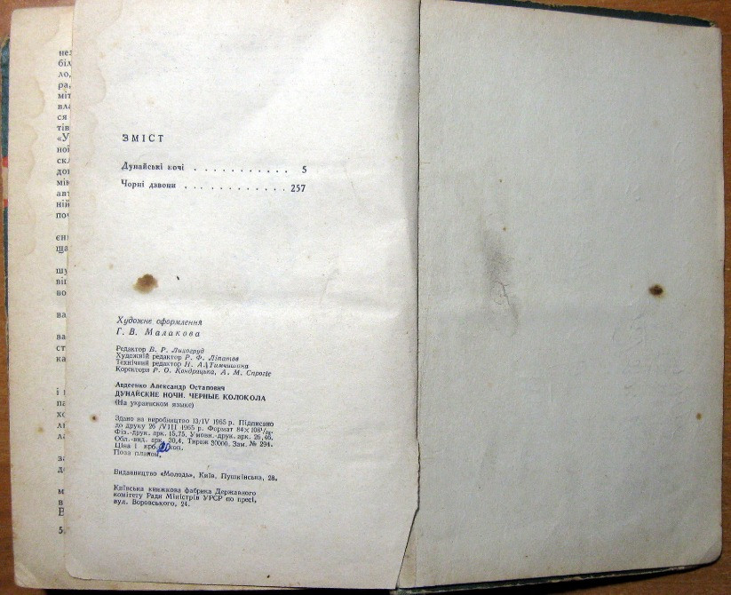 Дунайські ночі. Чорні дзвони. Олександр Авдєєнко Богодухів - зображення 2