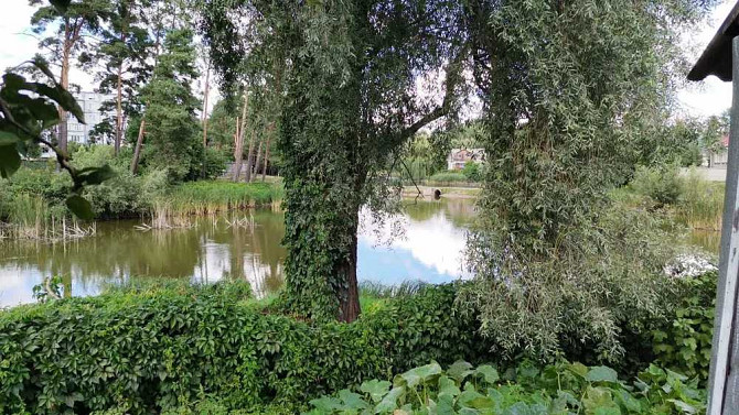 продажа 5-к дом Васильковский, Калиновка, 45000 $  - изображение 3