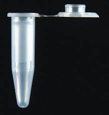 Ахаслим — космецевтический препарат для здоровья и молодости кожи от самой Природы. Харків - зображення 4