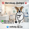 Стерилізація на дому Дніпро Дніпро