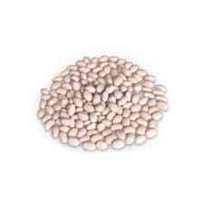 Закупка квасолі на переробку та консервування Дніпро