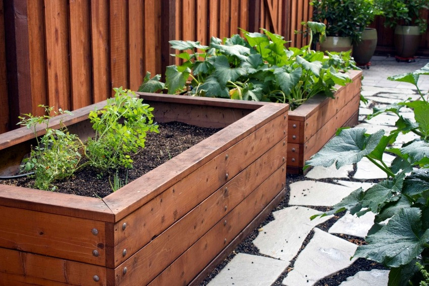 Высокие грядки. Кадки из дерева. Голландские грядки. Клумбы для цветов Вишневе - зображення 3