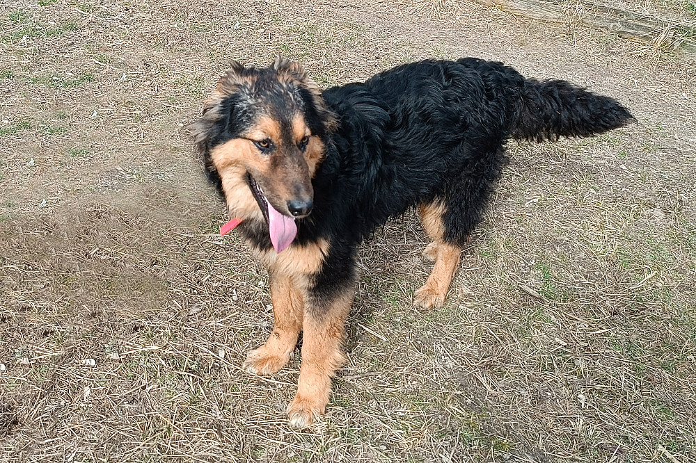Оскару всего годик! Он очень хочет в любящую семью! Киев - изображение 4