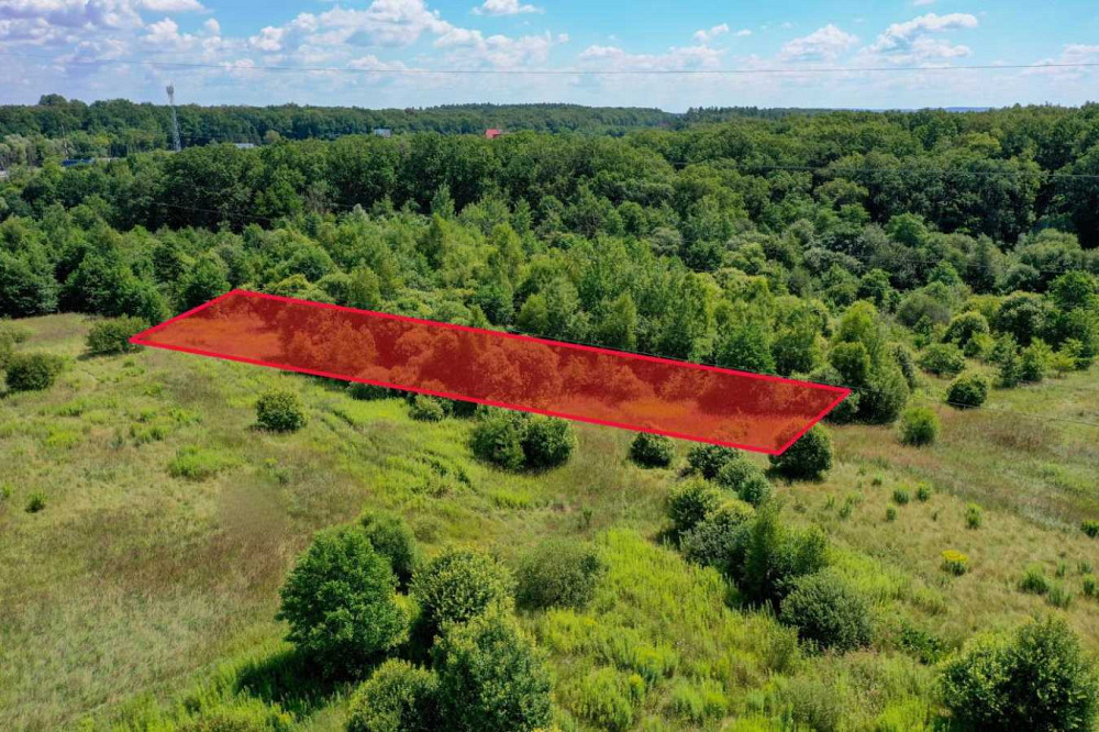 продажа земля сельскохозяйственного назначения Пустомытовский, Пасеки-Зубрицкие, 40000 $  - зображення 6