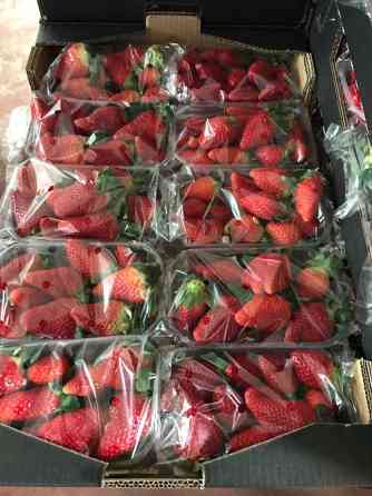 Продаем клубнику Київ