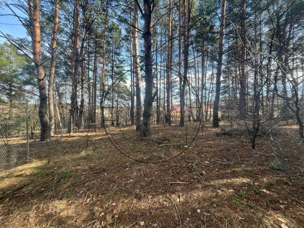 БЕЗ КОМІСІЇ ! Продаж земельної ділянки в Глевасі Код: № 264763 Київ - зображення 6