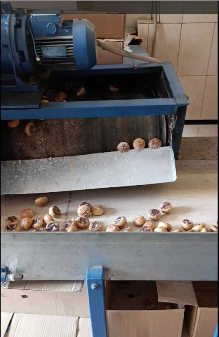 долгосрочная аренда производственные помещения Ставищенский, Ставище, 80000 грн./мес.  - зображення 2