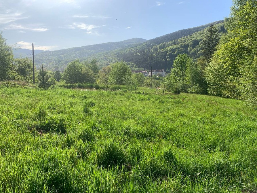 Земельна ділянка в Яремче 0.25 га Яремче - зображення 7