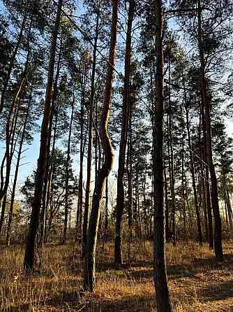 продажа участок под жилую застройку Новомосковский, Песчанка, 10000 $ 