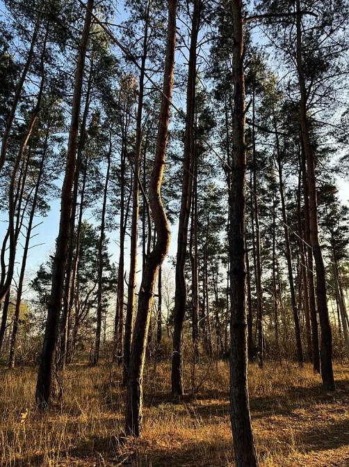 продажа участок под жилую застройку Новомосковский, Песчанка, 10000 $  - изображение 5