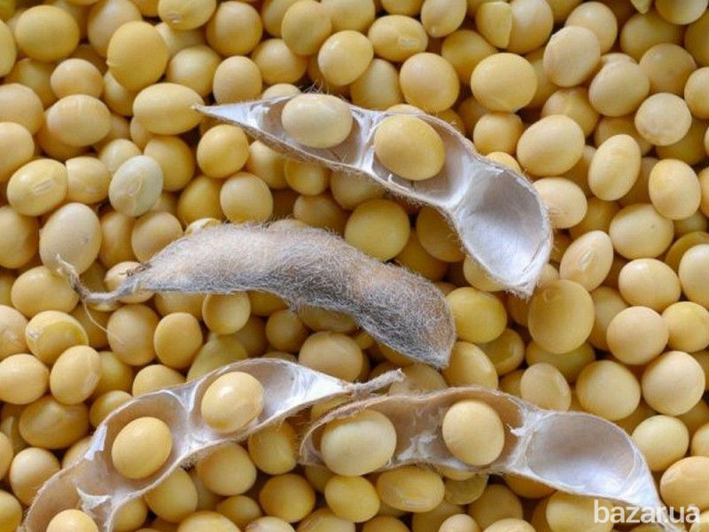 Куплю сою на переработку Винница - изображение 1