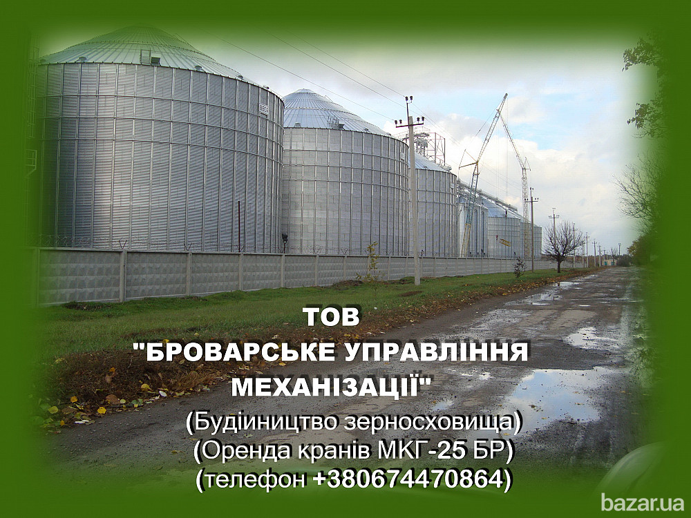 Аренда гусеничных кранов Киев МКГ-25БРпо Украине. Киев - изображение 2