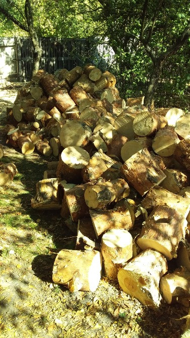 Видалення дерев,кущів,порізка дров,корчування пеньків. Київ - зображення 2