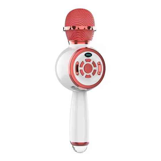 Караоке Микрофон-колонка DS810 Херсон