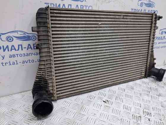 Радиатор интеркуллера Volkswagen Caddy 2K 1.9 DIESEL BJB 2003 (б/у) Київ
