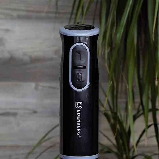 Блендер погружной Edenberg EB-60017-BlaСk 400 Вт черный Киев