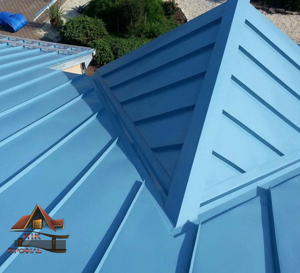 Коник звичайний, коник покрівельний, конек, коньок Киев - изображение 3