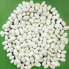 Насіння, посівмат квасолі сортів Неві Бінс, Червона довга, Пінто, Червона Шапочка. Луцьк