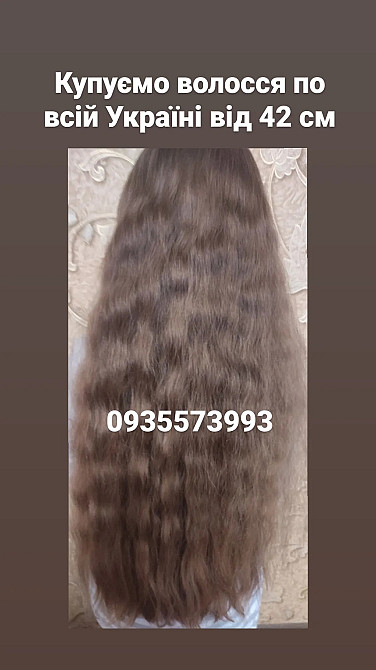 Куплю волосся, продать волосы по всій Україні від 42 см -0935573993 Київ - зображення 1