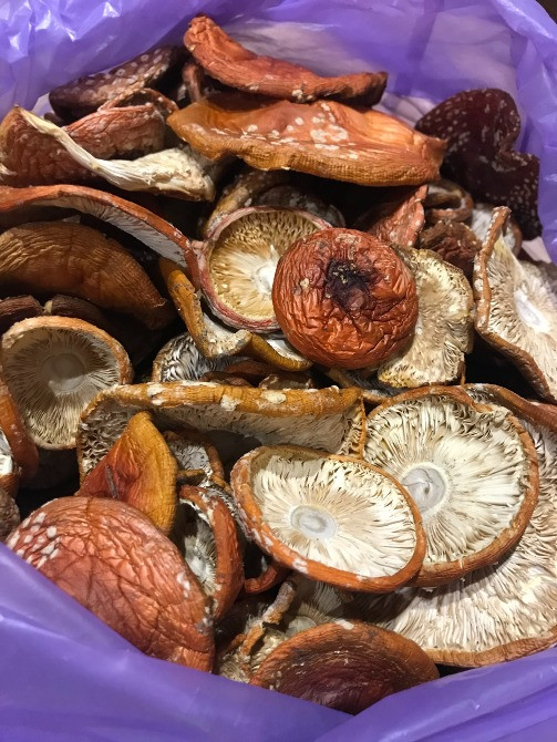 Мухомор червоний, королівський, пантерний Львів - зображення 1