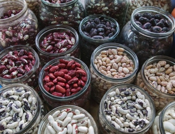 Продам фасоль разных сортов. Опт 5 т Херсон - изображение 1