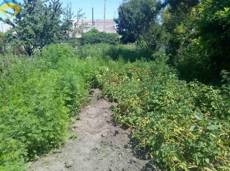 Домик возле школы фонтанка Одесса - изображение 1