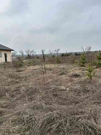 продажа участок под жилую застройку Броварский, Рожевка, 16000 $ 