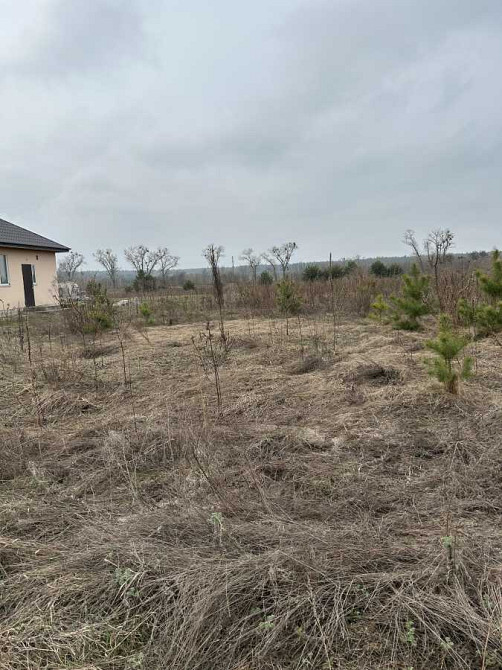 продажа участок под жилую застройку Броварский, Рожевка, 16000 $  - изображение 3