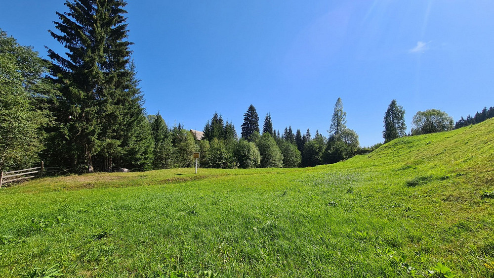 Земельна ділянка у селі Яблуниця 0.09 га Яремче - зображення 8