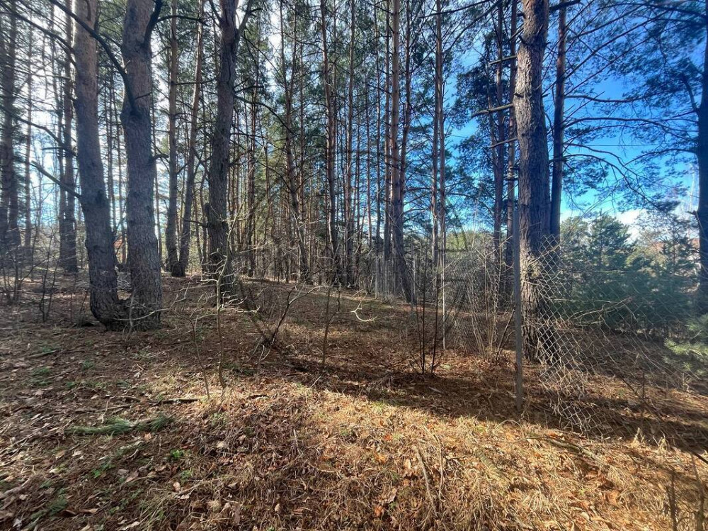 БЕЗ КОМІСІЇ ! Продаж земельної ділянки в Глевасі Код: № 264763 Київ - зображення 4