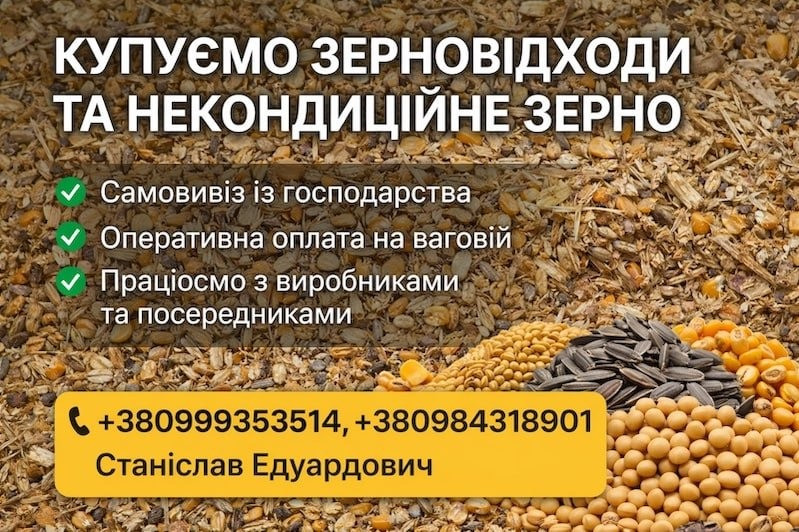 Постійна закупівля зерновідходів та некондиції Суми - зображення 1