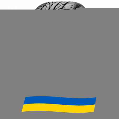 225/55 R19 Maxxis VICTRA MA-Z4S 99W Легкова шина Київ