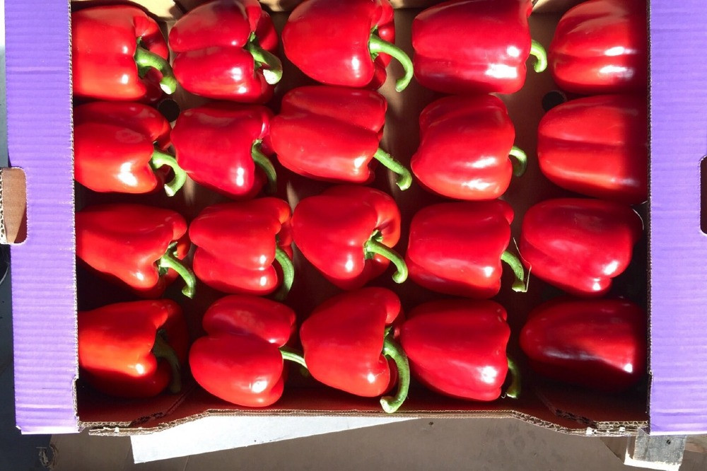 Продаем перенц Київ - зображення 8