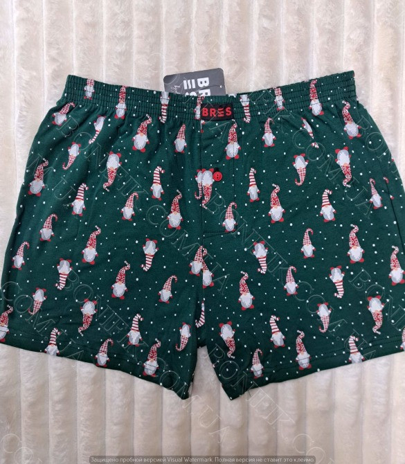 Мужские зелёные семейные трусы с рисунком гномов ТМ "BRES" (арт. MBXK 307/01/140) Кривий Ріг - зображення 1