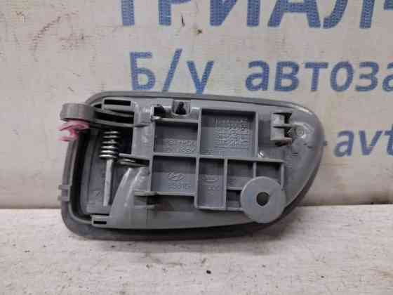 Ручка двери внутренняя левая Kia Picanto 2003-2011 8261007000NL (Арт. 81985) Киев