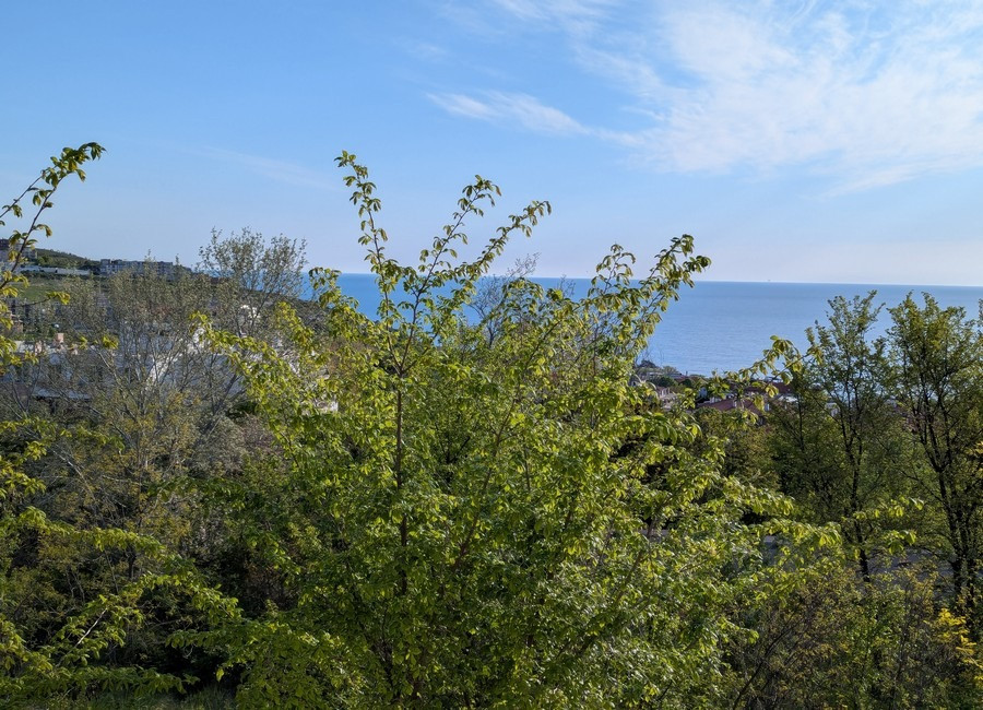 Уютная двухкомнатная квартира с низким сбором за обслуживание в г. Бяла (Варненская обл., Болгария) Київ - зображення 12