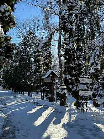 Санаторно-курортне лікування в санаторії "Березовий гай" Вінниця