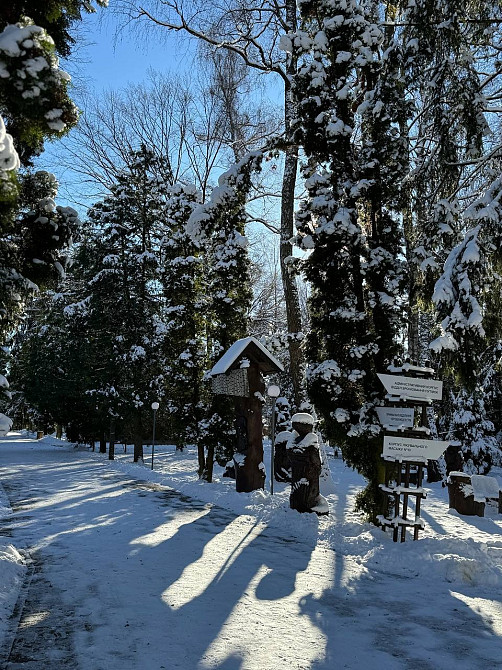 Санаторно-курортне лікування в санаторії "Березовий гай" Винница - изображение 2