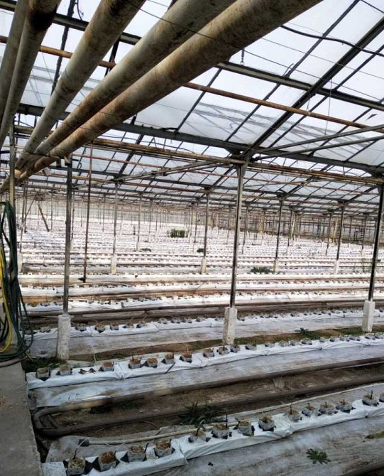 продажа производственные помещения Никопольский, Никополь, 13631538 грн. Никополь - изображение 8